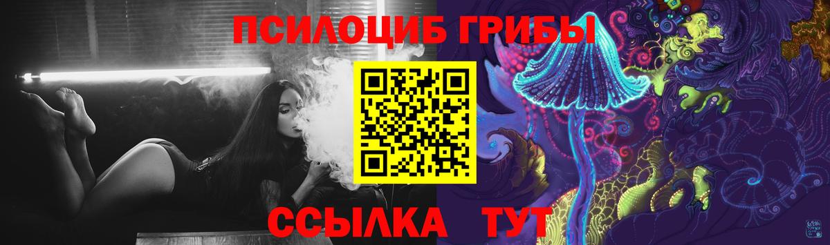 Псилоцибиновые грибы Cubensis Красный Сулин
